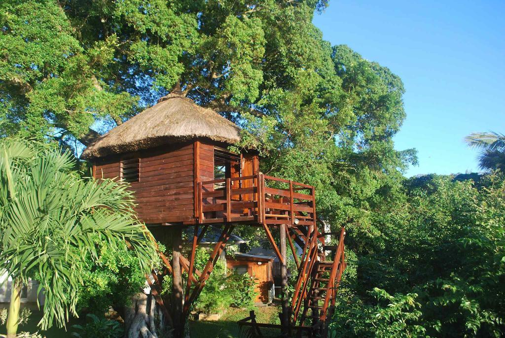 Tree Lodge Mauritius Belle Mare Oda fotoğraf